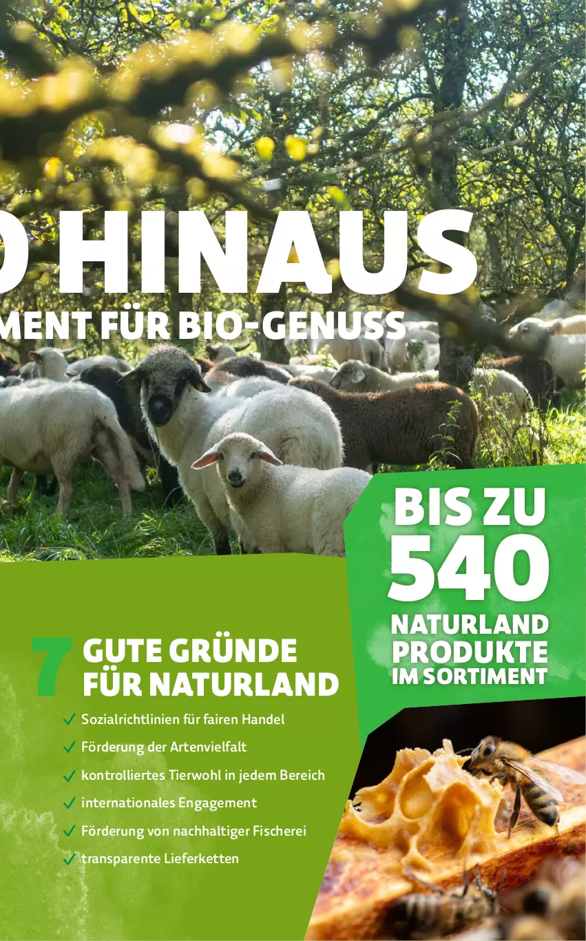 Aktueller Prospekt Denns Biomarkt - von 13.03 bis 23.03.2024 - strona 11 - produkty: bio, ente, fisch, fische, Fischer, Kette, natur, naturland, nuss, Schere, Ti, trolli, wasser