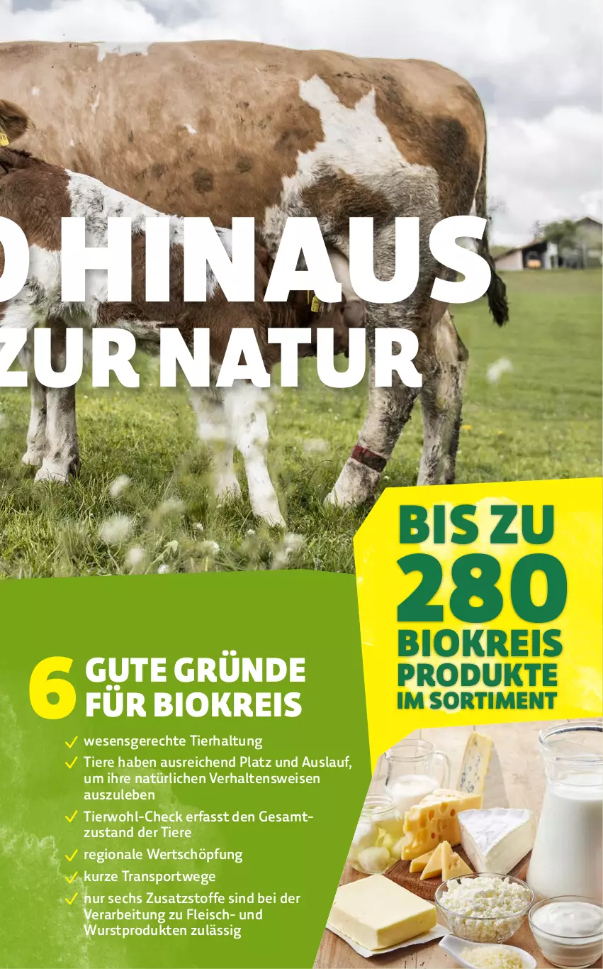 Aktueller Prospekt Denns Biomarkt - von 13.03 bis 23.03.2024 - strona 19 - produkty: bio, eis, ente, fleisch, natur, reis, Sport, Ti, Tiere, wurst