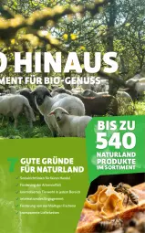 Gazetka promocyjna Denns Biomarkt - Gazetka - ważna od 23.03 do 23.03.2024 - strona 11 - produkty: bio, ente, fisch, fische, Fischer, Kette, natur, naturland, nuss, Schere, Ti, trolli, wasser