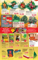 Gazetka promocyjna Jawoll - Prospekte - Gazetka - ważna od 05.11 do 05.11.2022 - strona 4 - produkty: beere, blume, blumen, blumenerde, Blüte, Brei, decke, Deckel, dekoration, dünger, edelstahl, eis, elle, erde, Garten, Holz, jumbo, latte, massivholz, pflanze, pflanzen, pflanzerde, rasen, rasendünger, Ria, rind, sac, Schal, Schale, Ti, tisch, topf, zwiebel, zwiebeln