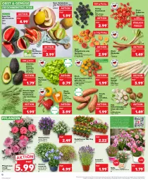 Gazetka promocyjna Kaufland - Prospekt - Gazetka - ważna od 07.06 do 07.06.2023 - strona 12 - produkty: angebot, aprikose, aprikosen, avocado, avocados, beere, beeren, bio, blume, blumen, bohne, bohnen, braun, Brei, brombeere, brombeeren, Buschbohnen, champignon, champignons, eis, erbsen, erdbeere, erdbeeren, galiamelone, honig, honigmelone, kartoffel, kartoffeln, kopfsalat, lavendel, mac, melone, obst, orange, paprika, Pfingstrosen, pfirsich, pfirsiche, pfirsiche oder, pflanze, pflanzen, plattpfirsiche, reis, rhabarber, rispentomaten, rosen, rum, salat, Schal, Schale, spargel, Ti, tisch, tomate, tomaten, topf, wasser, wassermelone, ZTE