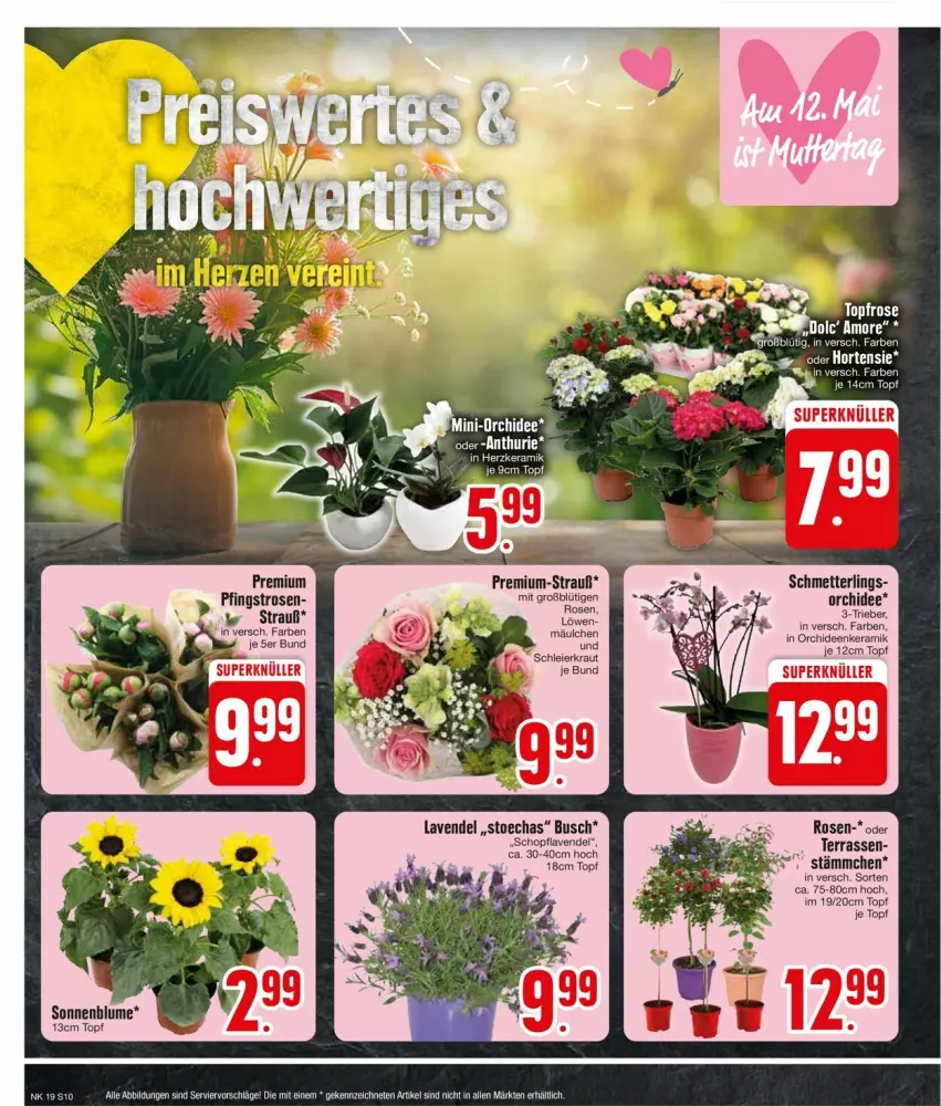 Aktueller Prospekt Edeka - Prospekte - von 06.05 bis 11.05.2024 - strona 12 - produkty: blume, eier, Kraut, lavendel, Mett, orchidee, orchideen, Pfingstrosen, rosen, Schmetterling, sonnenblume, Ti, topf