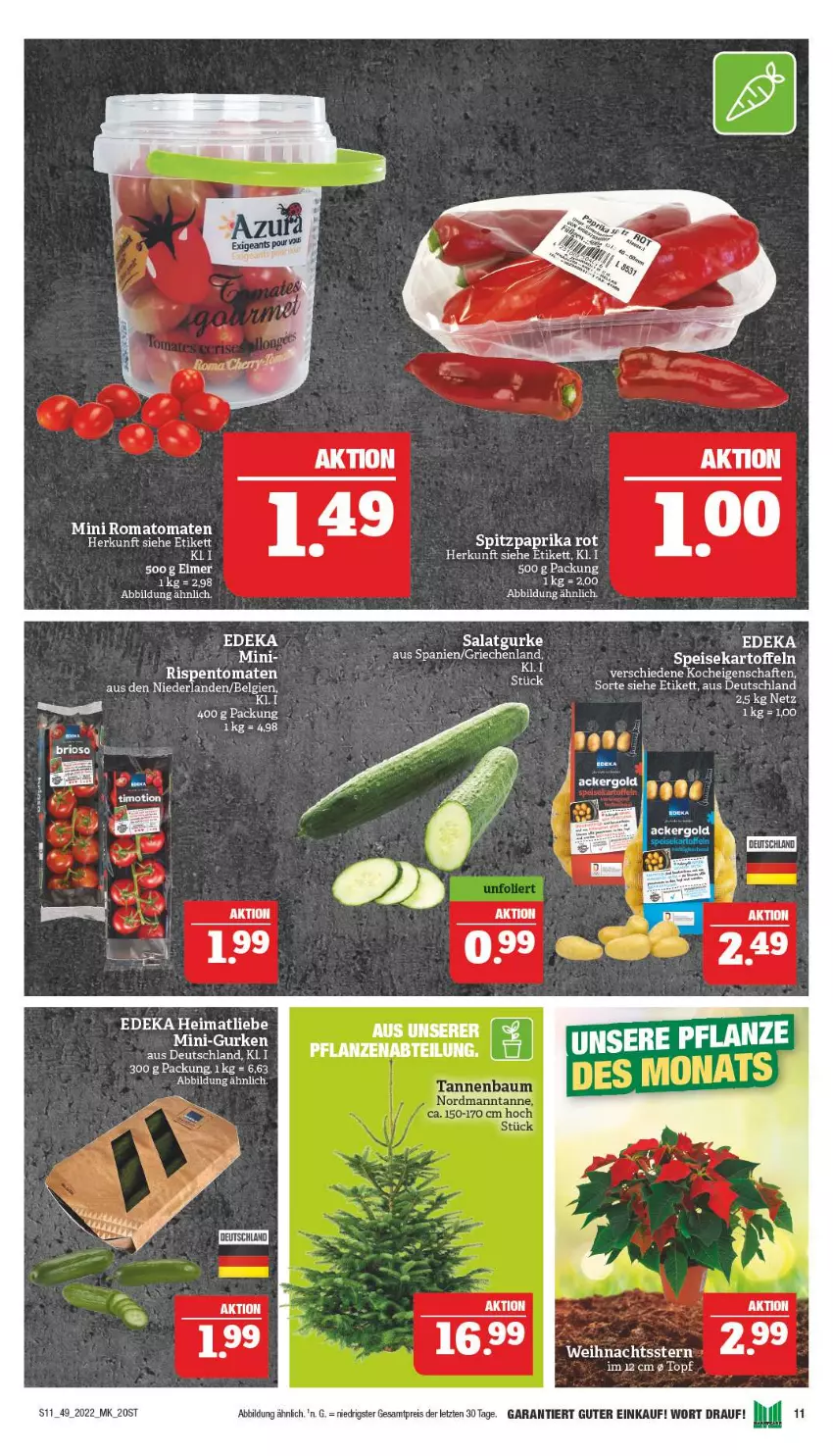 Aktueller Prospekt Marktkauf - Prospekt - von 04.12 bis 10.12.2022 - strona 11 - produkty: deka, eimer, eis, gurke, gurken, kartoffel, kartoffeln, mini-gurken, paprika, paprika rot, reis, rel, rispentomaten, Romatomaten, salat, Salatgurke, speisekartoffeln, Spitzpaprika, Ti, tomate, tomaten, Weihnachtsstern, ZTE