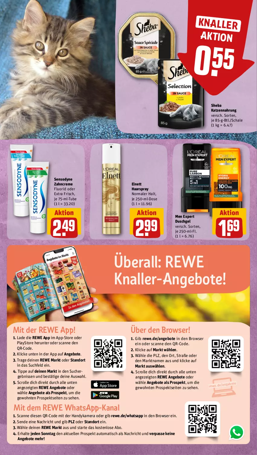 Aktueller Prospekt Rewe - Prospekte - von 19.06 bis 24.06.2023 - strona 11 - produkty: angebot, angebote, auto, creme, duschgel, elle, elnett, haarspray, Handy, kamera, katzennahrung, lays, Schal, Schale, sensodyne, sheba, Ti, tisch, zahncreme