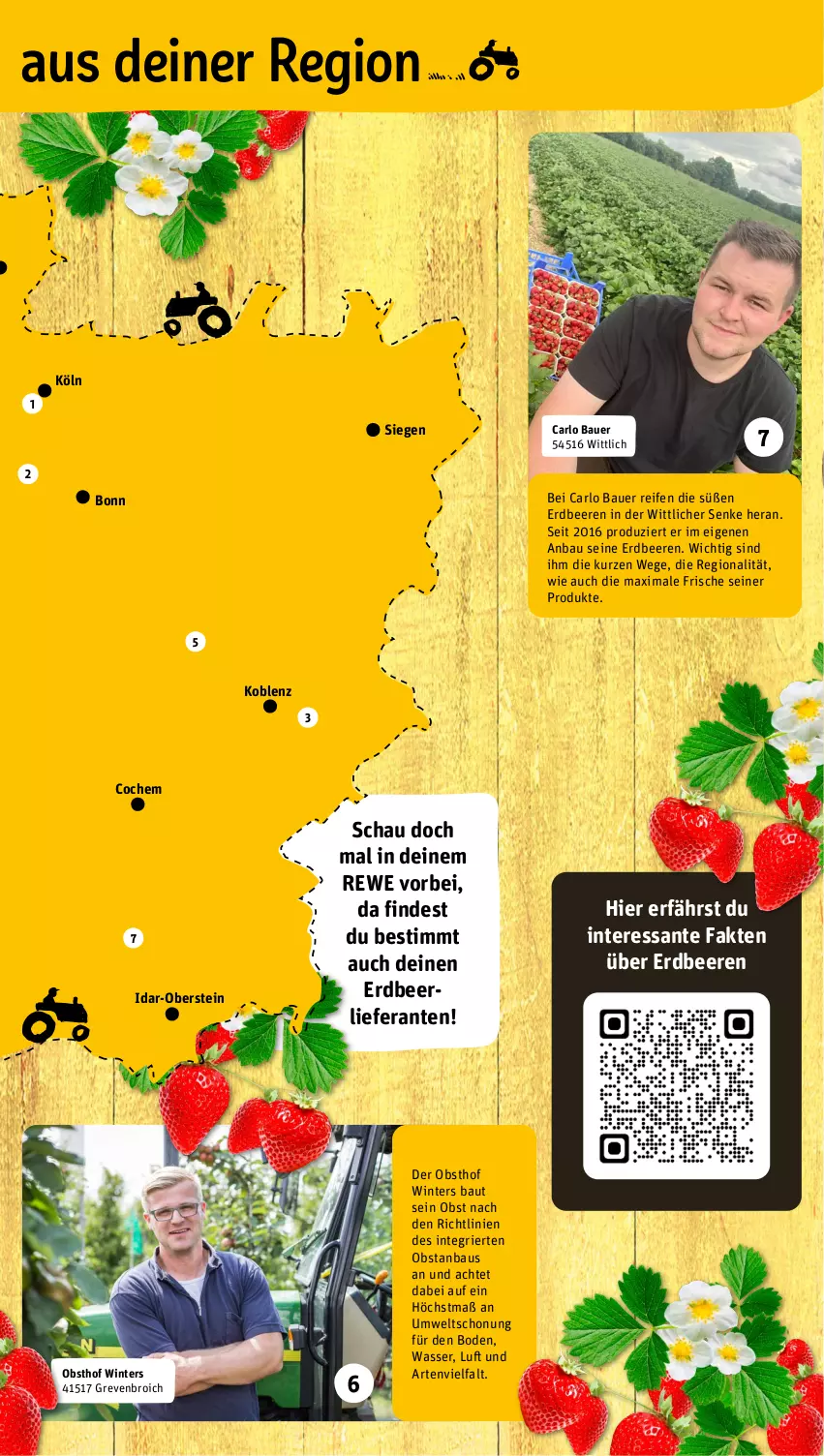 Aktueller Prospekt Rewe - Prospekte - von 19.06 bis 24.06.2023 - strona 15 - produkty: arlo, auer, Bau, Bauer, beere, beeren, erdbeere, erdbeeren, obst, reifen, SANTE, Ti, wasser