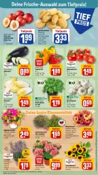 Gazetka promocyjna Rewe - Prospekte - Gazetka - ważna od 24.06 do 24.06.2023 - strona 3 - produkty: aubergine, basilikum, bio, blume, blumen, Blumenstrauß, eier, eis, fleisch, Gerber, gin, hortensie, HP, kartoffel, kartoffeln, knoblauch, Kraut, lavendel, Nektar, nektarinen, paprika, paprika mix, pflanze, pflanzen, reis, rispentomaten, Schal, Schale, sonnenblume, sonnenblumen, speisekartoffeln, Ti, tiefpreis, tomate, tomaten, topf