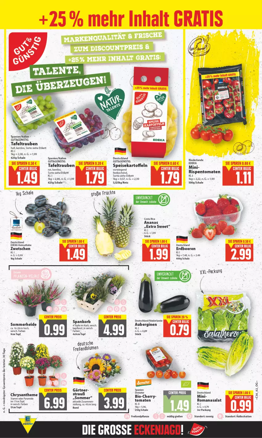 Aktueller Prospekt E Center - Angebote der Woche - von 29.08 bis 03.09.2022 - strona 2 - produkty: ananas, aubergine, auberginen, beere, beeren, bio, blume, blumen, deka, eis, elle, erdbeere, erdbeeren, früchte, gin, kartoffel, kartoffeln, korb, pflanze, reis, salat, Schal, Schale, speisekartoffeln, tafeltrauben, Ti, tomate, tomaten, topf, trauben, ZTE