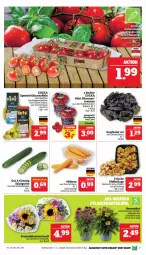 Gazetka promocyjna Marktkauf - Prospekt - Gazetka - ważna od 20.07 do 20.07.2024 - strona 7 - produkty: deka, eis, Frühkartoffeln, gurke, kartoffel, kartoffeln, kopfsalat, reis, salat, Salatgurke, speisefrühkartoffeln, Ti, ZTE