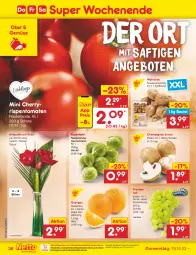 Gazetka promocyjna Netto Marken-Discount - Filial-Angebote - Gazetka - ważna od 21.10 do 21.10.2023 - strona 40 - produkty: angebot, angebote, bestpreis, beutel, Blüte, braun, champignon, eis, ndk, obst, orange, orangen, reis, rispentomaten, rosen, Rosenkohl, saft, Schal, Schale, Ti, tomate, tomaten, trauben, Vase
