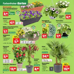 Gazetka promocyjna Thomas Philipps - Gazetka - ważna od 03.05 do 03.05.2025 - strona 2 - produkty: balkonpflanzen, Begonie, blume, blumen, dekoration, dip, dipladenia, eis, Garten, HP, korb, Kraut, petunie, petunien, pflanze, pflanzen, Pflanztopf, Rauch, siena, Sport, Ti, tisch, topf