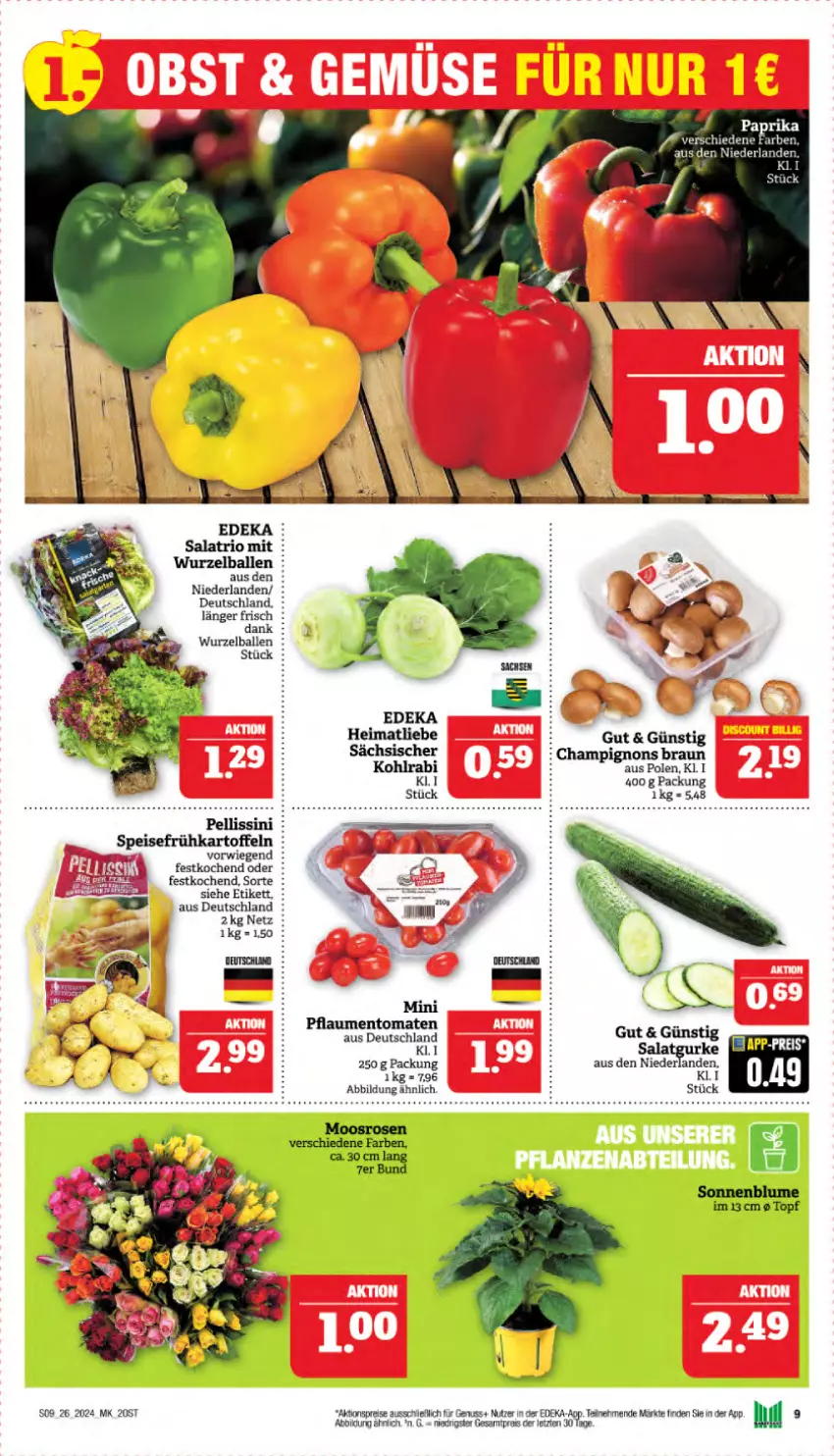 Aktueller Prospekt Marktkauf - Prospekt - von 23.06 bis 29.06.2024 - strona 9 - produkty: aktionspreis, ball, braun, champignon, champignons, champignons braun, deka, eis, kohlrabi, nuss, pflaume, pflaumen, reis, salat, tee, Ti, tomate, tomaten, topf, ZTE