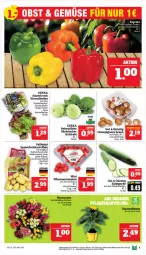 Gazetka promocyjna Marktkauf - Prospekt - Gazetka - ważna od 29.06 do 29.06.2024 - strona 9 - produkty: aktionspreis, ball, braun, champignon, champignons, champignons braun, deka, eis, kohlrabi, nuss, pflaume, pflaumen, reis, salat, tee, Ti, tomate, tomaten, topf, ZTE