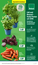Gazetka promocyjna Lidl - Aktionsprospekt - Gazetka - ważna od 09.03 do 09.03.2024 - strona 3 - produkty: angebot, auer, basilikum, Bau, Bauer, bio, bioland, eis, kräuter, möhren, petersilie, reis, rote bete, schnittlauch, Ti, topf, Topfkräuter, ZTE