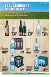 Gazetka promocyjna Metro - Regionaler Adresseinleger - Gazetka - ważna od 07.09 do 07.09.2022 - strona 113 - produkty: Alwa, Birnen, Bronner, brunnen, brut, burgunder, dry gin, eis, flasche, franken brunnen, getränk, getränke, gin, grauburgunder, mac, mineralwasser, Palette, sekt, Ti, wasser, Williams Birne