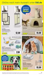 Gazetka promocyjna Lidl - Aktionsprospekt - Gazetka - ważna od 25.02 do 25.02.2023 - strona 25 - produkty: angebot, Anhänger, aust, ball, bett, dell, eis, elle, hängesessel, kissen, leine, minze, Mode, Plüsch, reis, Ria, sessel, Spiele, spielzeug, Stier, stuhl, Ti, tierbedarf, tisch, ZTE