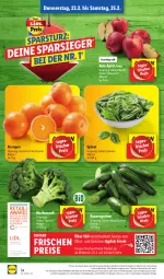 Gazetka promocyjna Lidl - Aktionsprospekt - Gazetka - ważna od 25.02 do 25.02.2023 - strona 36 - produkty: angebot, auer, Bau, Bauer, bio, broccoli, discount, eis, ente, frucht, gurke, gurken, magazin, obst, Obst und Gemüse, orange, orangen, reis, spinat, Ti, und gemüse