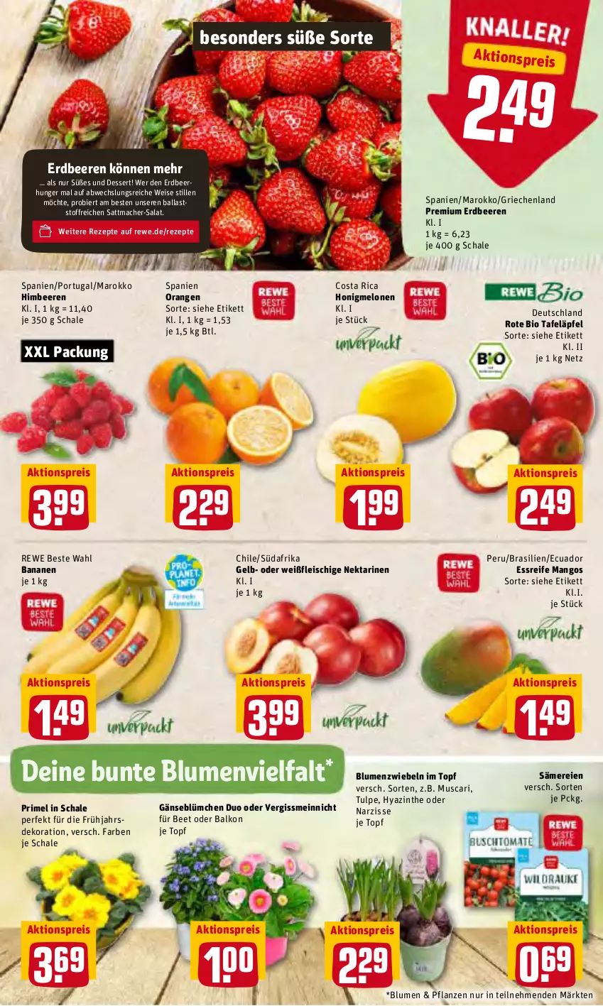 Aktueller Prospekt Rewe - Prospekte - von 21.02 bis 27.02.2022 - strona 2 - produkty: aktionspreis, ball, banane, bananen, beere, beeren, bier, bio, blume, blumen, dekoration, dessert, eis, erdbeere, erdbeeren, fleisch, himbeer, himbeere, himbeeren, honig, honigmelone, honigmelonen, mac, mango, mangos, melone, melonen, Nektar, nektarinen, orange, orangen, pflanze, pflanzen, reis, rewe beste wahl, rezept, rezepte, salat, Schal, Schale, tafeläpfel, Ti, topf, zwiebel, zwiebeln