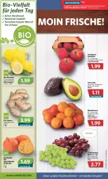 Gazetka promocyjna Combi - Prospekte - Gazetka - ważna od 03.09 do 03.09.2022 - strona 2 - produkty: angebot, angebote, avocado, avocados, beutel, bio, eis, Elan, ingwer, Kürbis, mac, mandarine, mandarinen, natur, nuss, Schal, Schale, tafeläpfel, tafeltrauben, Ti, trauben, zitrone, zitronen