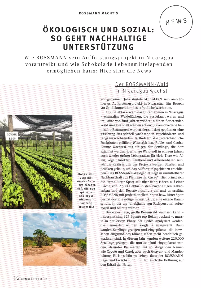 Aktueller Prospekt Rossmann - Prospekte - von 01.10 bis 31.10.2023 - strona 92 - produkty: Bau, Birnen, eis, elle, erde, Guave, HP, kakao, mac, mandel, natur, Persona, ring, ritter, ritter sport, sekt, Sport, stube, Ti, Tiere, wasser, Yo