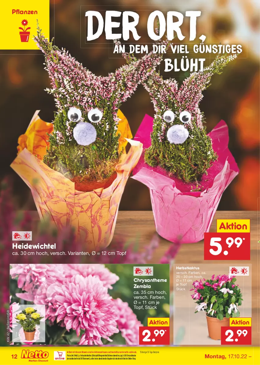 Aktueller Prospekt Netto Marken-Discount - Filial-Angebote - von 17.10 bis 22.10.2022 - strona 12 - produkty: bestpreis, eis, ndk, pflanze, pflanzen, reis, Ria, Ti, topf, versandkostenfrei, Wichtel