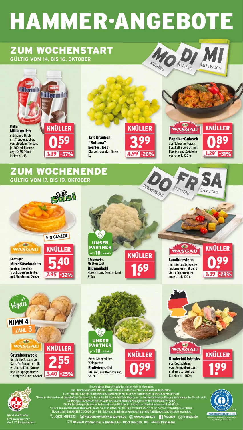 Aktueller Prospekt Wasgau - von 14.10 bis 19.10.2024 - strona 24 - produkty: angebot, angebote, auer, bier, bio, blume, blumen, blumenkohl, braten, Brei, drucker, eis, elle, Engel, flasche, fleisch, frucht, Garten, gewürz, gulasch, hüftsteak, hüftsteaks, jungbullen, Kaiser, kartoffel, Käse, käsekuchen, kerze, kuchen, latte, mandarine, milch, mit paprika, Müller, müllermilch, Nackensteak, paprika, pfanne, pfannen, reis, Ria, rind, rinder, rum, rwe, saft, salat, schwein, schweine, schweinefleisch, schweinenacken, steak, steaks, tafeltrauben, tee, Ti, trauben, weck, wein, weine, zucker, zwiebel, zwiebeln