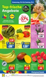 Gazetka promocyjna Lidl - Aktionsprospekt - Gazetka - ważna od 15.06 do 15.06.2024 - strona 50 - produkty: angebot, angebote, banane, bananen, coupon, eis, LG, mango, melone, Mett, mit paprika, ndk, orchidee, paprika, pflanze, pflanzen, reis, Romatomaten, Schal, Schale, Ti, tomate, tomaten, topf, übertopf, wasser, wassermelone