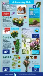 Gazetka promocyjna AldiSud - ALDI Aktuell - Gazetka - ważna od 30.04 do 30.04.2022 - strona 28 - produkty: aldi, aubergine, balkonpflanzen, Bau, decke, eis, flieder, gin, gurke, holunder, hortensie, kulturtopf, LG, limo, limonen, Mett, natur, paprika, Passiflora, peperoni, Peroni, petunie, pflanze, pflanzen, rasen, reis, Rollrasen, Schmetterling, snack, Sport, Ti, tomate, topf, Vase