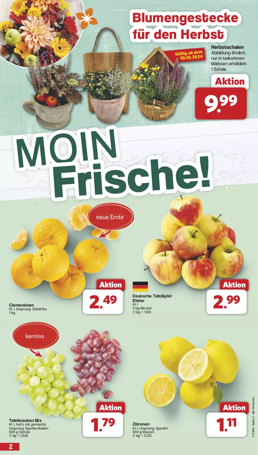 Aktueller Prospekt Famila - Prospekte - von 07.10 bis 12.10.2024 - strona 2 - produkty: beutel, blume, blumen, clementinen, obst, Schal, Schale, tafeläpfel, tafeltrauben, Ti, trauben, zitrone, zitronen