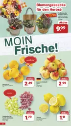 Gazetka promocyjna Famila - Prospekte - Gazetka - ważna od 12.10 do 12.10.2024 - strona 2 - produkty: beutel, blume, blumen, clementinen, obst, Schal, Schale, tafeläpfel, tafeltrauben, Ti, trauben, zitrone, zitronen