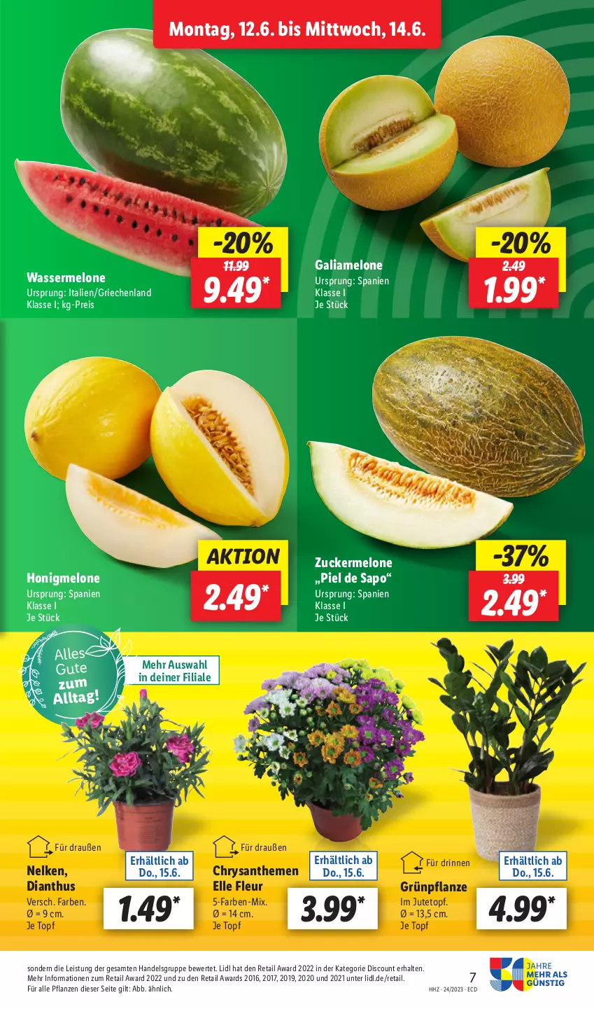 Aktueller Prospekt Lidl - Aktionsprospekt - von 12.06 bis 17.06.2023 - strona 9 - produkty: chrysanthemen, discount, eis, elle, galiamelone, honig, honigmelone, melone, pflanze, pflanzen, reis, Ti, topf, wasser, wassermelone, zucker, Zuckermelone