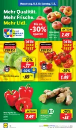 Gazetka promocyjna Lidl - Aktionsprospekt - Gazetka - ważna od 17.06 do 17.06.2023 - strona 48 - produkty: bio, cocktail, cocktails, eis, eisbergsalat, ingwer, ndk, paprika, pfirsich, pfirsiche, Rauch, reis, salat, Schal, Schale, strauchtomaten, Ti, tomate, tomaten
