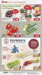 Gazetka promocyjna Famila - Prospekte - Gazetka - ważna od 18.05 do 18.05.2024 - strona 4 - produkty: blume, blumen, eis, grüner spargel, lebensmittel, obst, paprika, paprika rot, reis, rhabarber, Schal, Schale, spargel, telefon, Ti, ZTE, zucchini