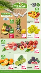Gazetka promocyjna Wasgau - Gazetka - ważna od 05.09 do 05.09.2026 - strona 10 - produkty: ananas, angebot, auer, avocado, Feigen, früchte, limette, limetten, Mett, metten, Nektar, nektarinen, obst, orange, orangen, paraguayos, pfirsich, pfirsiche, Schal, Schale, tafeläpfel, tafeltrauben, Ti, tisch, trauben, Yo