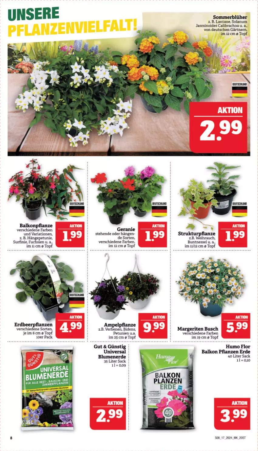 Aktueller Prospekt Marktkauf - Prospekt - von 21.04 bis 27.04.2024 - strona 10 - produkty: blume, blumen, blumenerde, calibrachoa, Erdbeerpflanze, erde, LG, petunie, petunien, pflanze, pflanzen, Rauch, Ria, sac, Surf, Ti, topf