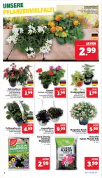 Gazetka promocyjna Marktkauf - Prospekt - Gazetka - ważna od 27.04 do 27.04.2024 - strona 10 - produkty: blume, blumen, blumenerde, calibrachoa, Erdbeerpflanze, erde, LG, petunie, petunien, pflanze, pflanzen, Rauch, Ria, sac, Surf, Ti, topf