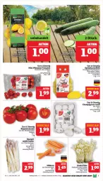 Gazetka promocyjna Marktkauf - Prospekt - Gazetka - ważna od 27.04 do 27.04.2024 - strona 9 - produkty: champignon, champignons, eis, gurke, gurken, kartoffel, kartoffeln, LG, möhren, pflaume, pflaumen, Pflaumen-Tomaten, pilze, reis, rispentomaten, salat, Salatgurke, salatgurken, spargel, speisekartoffeln, Ti, tomate, tomaten, zitrone, zitronen, ZTE