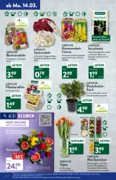 Gazetka promocyjna Aldi Nord - Aldi-Vorschau - Gazetka - ważna od 19.03 do 19.03.2022 - strona 8 - produkty: aldi, ball, beutel, blume, blumen, Blüte, Brei, eis, elle, erde, gin, Gladiolen, hero, kartoffel, kartoffeln, kulturtopf, LG, pflanze, Pflanzkartoffeln, Rauch, reis, Ria, rind, rosen, Schal, Schale, Tasche, Ti, topf, tragetasche, uhr, Vase, zwiebel, zwiebeln