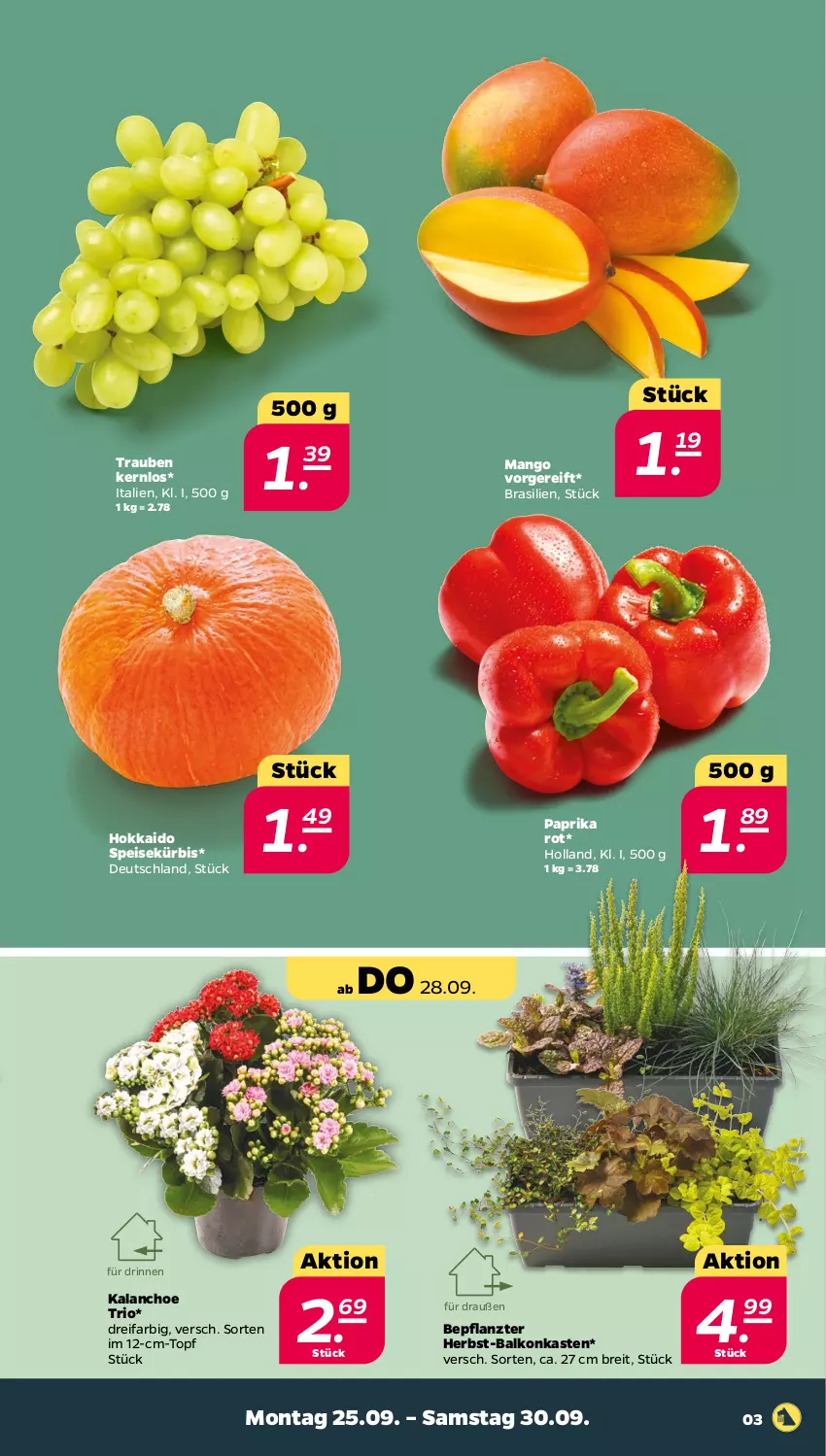 Aktueller Prospekt Netto - Woche 39 - von 25.09 bis 30.09.2023 - strona 3 - produkty: Brei, eis, Kalanchoe, Kürbis, mango, paprika, paprika rot, Ti, topf, trauben, ZTE