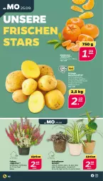 Gazetka promocyjna Netto - Woche 39 - Gazetka - ważna od 30.09 do 30.09.2023 - strona 2 - produkty: aloe vera, eis, Grünpflanzen, im 9-cm-topf, kartoffel, kartoffeln, korb, mandarine, mandarinen, pflanze, pflanzen, sac, speisekartoffeln, Ti, topf