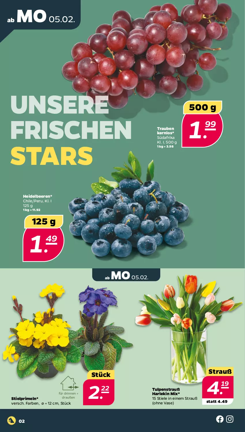 Aktueller Prospekt Netto - Woche 6 - von 05.02 bis 10.02.2024 - strona 2 - produkty: beere, beeren, heidelbeere, heidelbeeren, Primeln, Ti, trauben, Vase