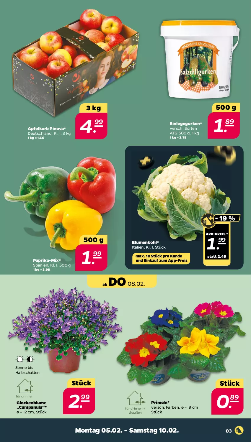 Aktueller Prospekt Netto - Woche 6 - von 05.02 bis 10.02.2024 - strona 3 - produkty: apfel, blume, blumen, blumenkohl, Campanula, eis, gurke, gurken, korb, paprika, Primeln, reis