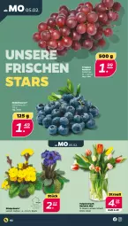 Gazetka promocyjna Netto - Woche 6 - Gazetka - ważna od 10.02 do 10.02.2024 - strona 2 - produkty: beere, beeren, heidelbeere, heidelbeeren, Primeln, Ti, trauben, Vase