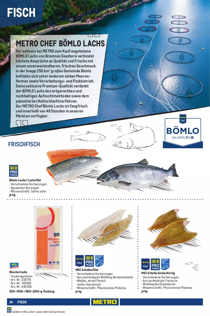 Aktueller Prospekt Metro - Eigenmarkensortiment - von 01.01.2023 bis 18.09.2024 - strona 14 - produkty: angebot, angebote, aqua, eis, filet, fisch, fische, Fischer, fleisch, frischfisch, küche, Küchen, lachs, lachsfilet, mac, Metro, Räucherlachs, rwe, salz, Schere, scholl, Ti, Wild