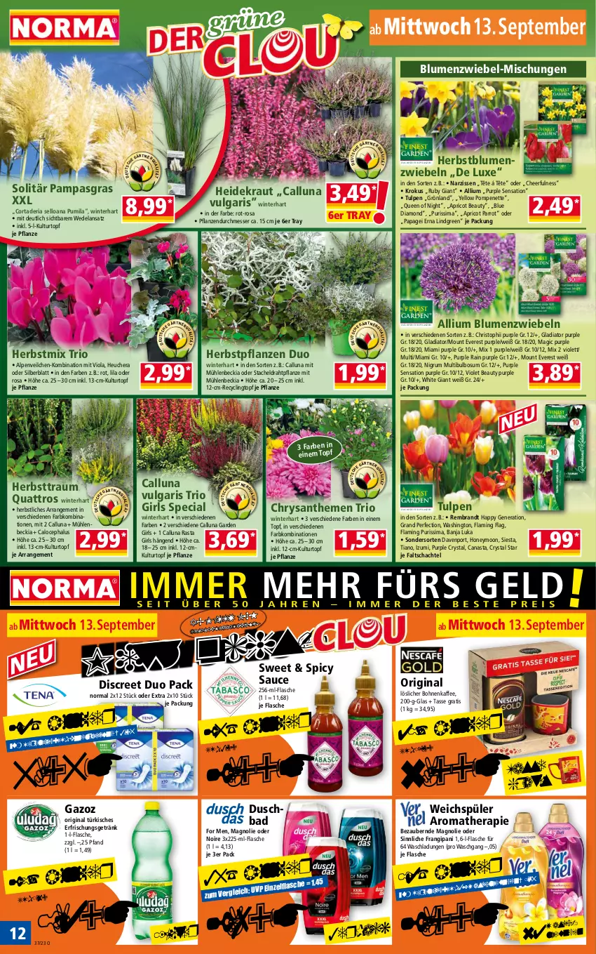 Aktueller Prospekt Norma - Norma - von 11.09 bis 18.09.2023 - strona 12 - produkty: Alpenveilchen, Bad, blume, blumen, bohne, bohnen, bohnenkaffee, brandt, chrysanthemen, Clin, Discreet, Draht, duschbad, Elan, erfrischungsgetränk, flasche, getränk, gin, Heidekraut, Heu, kaffee, Kraut, kulturtopf, LG, löslicher bohnenkaffee, messer, Narzissen, pflanze, pflanzen, Ria, rum, sauce, sim, tasse, Ti, topf, wedel, weichspüler, zwiebel, zwiebeln