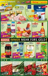 Gazetka promocyjna Norma - Norma - Gazetka - ważna od 18.09 do 18.09.2023 - strona 11 - produkty: barbecue, Becher, Brandenburger äpfel, brut, burger, creme, eis, erdnuss, filet, filets, flasche, fleisch, fleischwurst, frischkäse, frucht, Garten, hering, Herings, hühner, kaffee, Käse, kirsch, kirsche, kirschen, knoblauch, kühlregal, Lauchzwiebel, lauchzwiebeln, nerf, nuss, paprika, pastete, pflaume, pflaumen, radieschen, regal, reis, ring, sac, sauce, schinken, Spezi, Ti, tiefpreis, tomate, tomaten, wein, weinbrand, wurst, zwiebel, zwiebeln