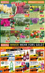 Gazetka promocyjna Norma - Norma - Gazetka - ważna od 18.09 do 18.09.2023 - strona 12 - produkty: Alpenveilchen, Bad, blume, blumen, bohne, bohnen, bohnenkaffee, brandt, chrysanthemen, Clin, Discreet, Draht, duschbad, Elan, erfrischungsgetränk, flasche, getränk, gin, Heidekraut, Heu, kaffee, Kraut, kulturtopf, LG, löslicher bohnenkaffee, messer, Narzissen, pflanze, pflanzen, Ria, rum, sauce, sim, tasse, Ti, topf, wedel, weichspüler, zwiebel, zwiebeln