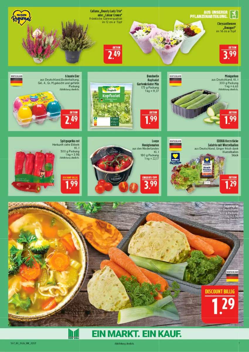 Aktueller Prospekt Marktkauf - Prospekt - von 27.09 bis 03.10.2026 - strona 7 - produkty: ball, bonduelle, deka, discount, eier, elle, Garten, gurke, gurken, honig, Honigtomaten, kopfsalat, kräuter, paprika, paprika rot, salat, Spitzpaprika, Ti, tomate, tomaten, topf