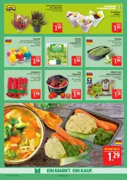 Gazetka promocyjna Marktkauf - Prospekt - Gazetka - ważna od 03.10 do 03.10.2026 - strona 7 - produkty: ball, bonduelle, deka, discount, eier, elle, Garten, gurke, gurken, honig, Honigtomaten, kopfsalat, kräuter, paprika, paprika rot, salat, Spitzpaprika, Ti, tomate, tomaten, topf