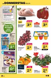 Gazetka promocyjna Netto - Angebote ab Montag - Gazetka - ważna od 08.01 do 08.01.2022 - strona 24 - produkty: Alpenveilchen, burger, clementinen, danone, eis, filet, filets, fisch, fische, fleisch, Fleischerei, frucht, fruchtzwerge, Hefe, matjes, Matjesfilet, matjesfilets, monitor, Rostocker, Schere, schwein, schweine, Schweineleber, suppe, suppen, Suppenhuhn, Ti, topf, trauben, Waage, wein, weine