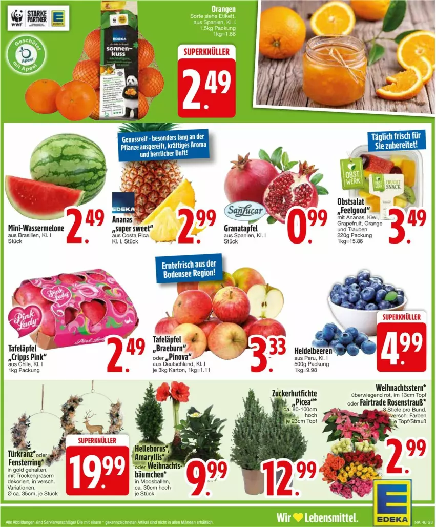 Aktueller Prospekt Edeka - Prospekte - von 11.11 bis 16.11.2024 - strona 5 - produkty: ananas, apfel, ball, fenster, grana, granatapfel, grapefruit, kiwi, Kranz, lebensmittel, LG, melone, obst, orange, Rana, Ria, ring, rosen, Rosenstrauß, salat, tafeläpfel, Ti, topf, trauben, Türkranz, wasser, wassermelone, Weihnachtsstern, zucker